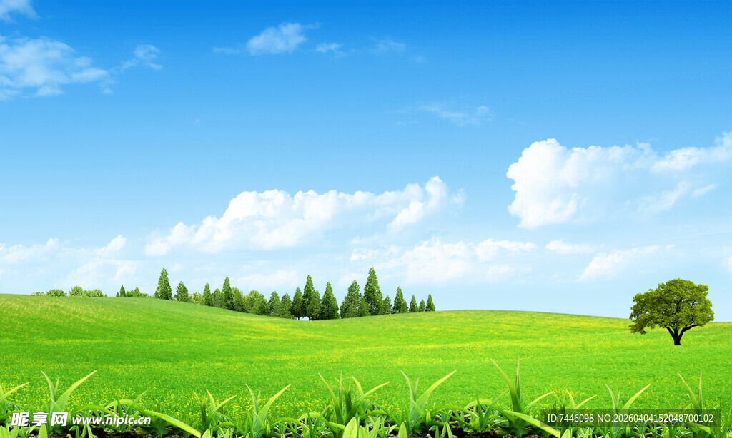 蓝天白云绿草地
