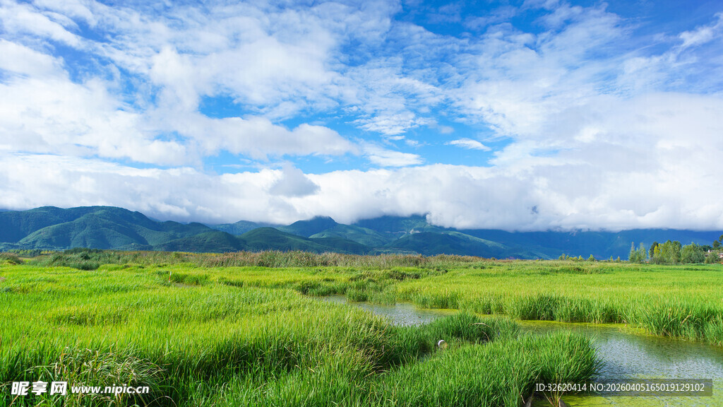 草原风光