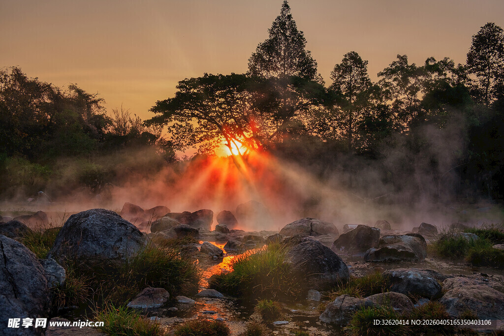 日出山林间的自然美景