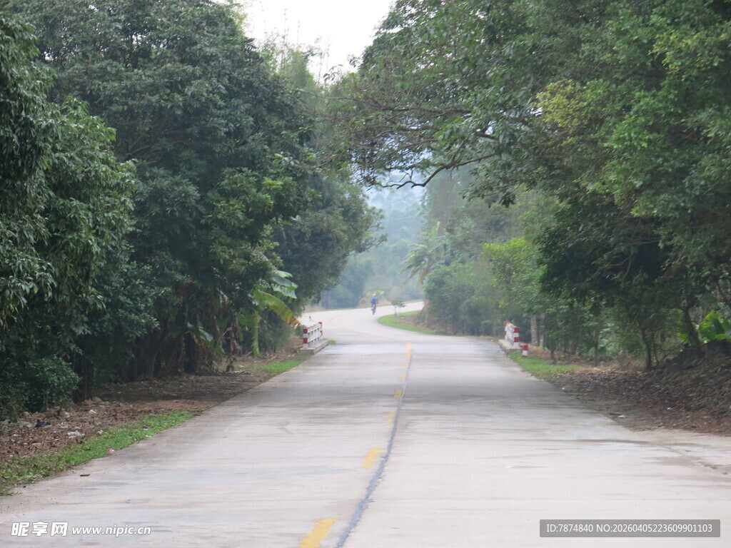 林间公路 静谧自然之景