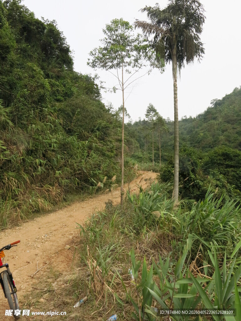 山间骑行小路旁绿意盎然