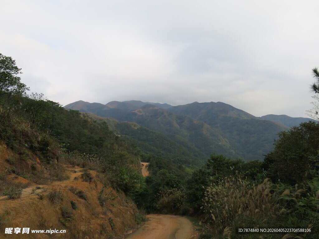 山间小道旁的秀丽山林景色