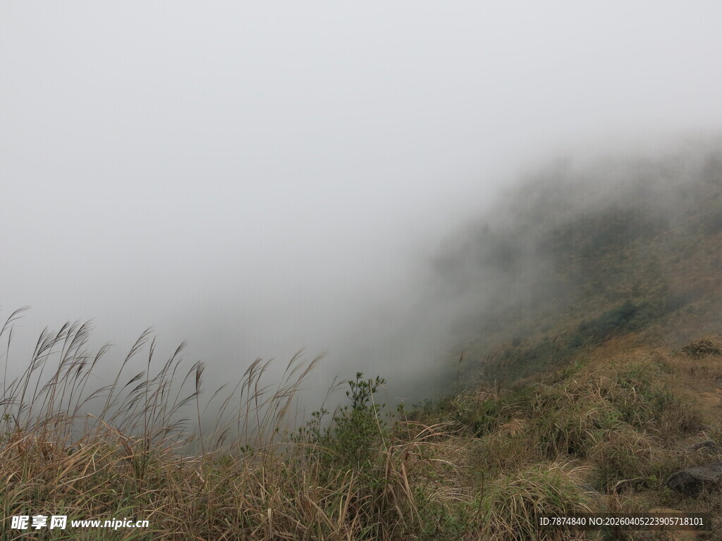 山间迷雾中的草地景致