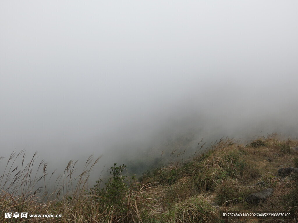 山间迷雾中的草景
