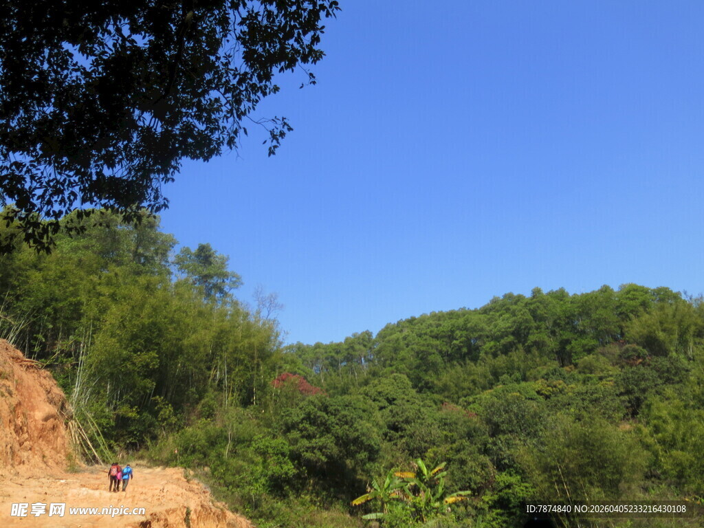 山间土路 绿意盎然的景致