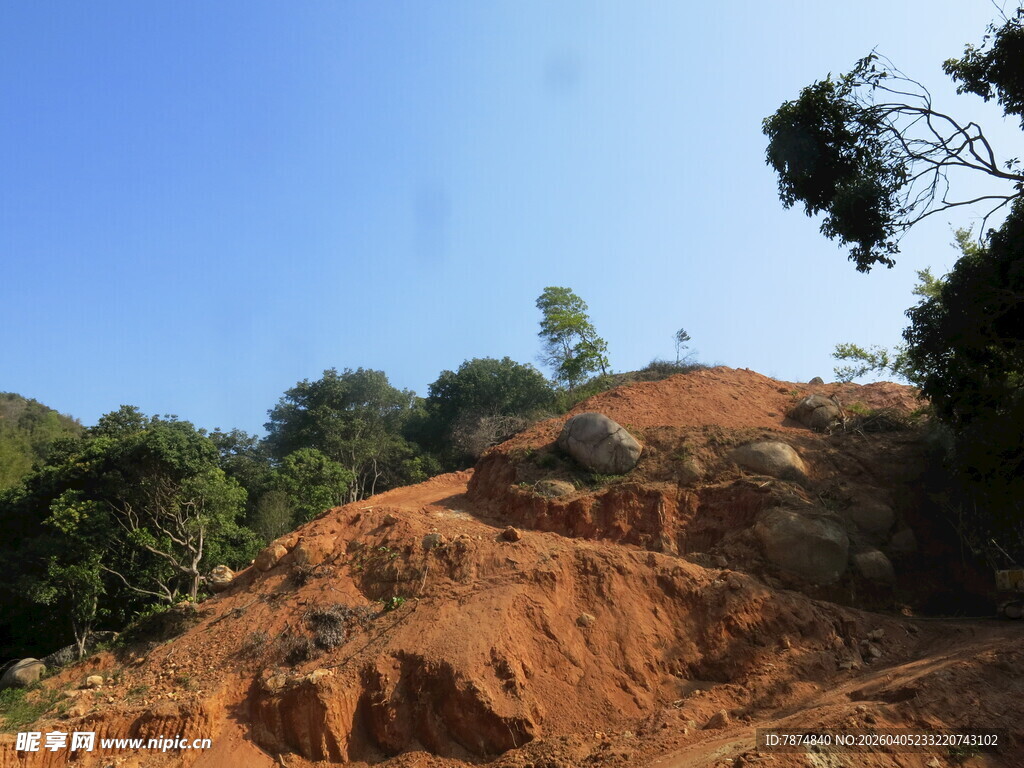 红土山坡的自然景象