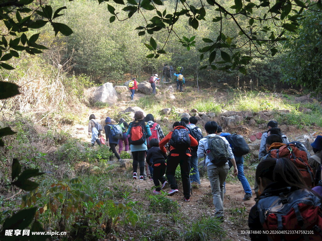 户外徒步队伍穿行林间