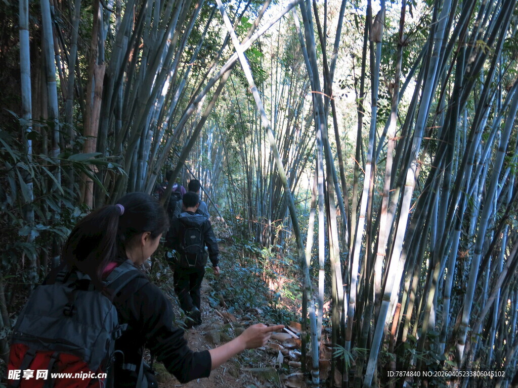 竹林中徒步的探险者