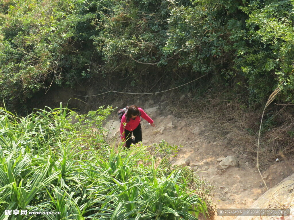 徒步者穿行于绿意山林间