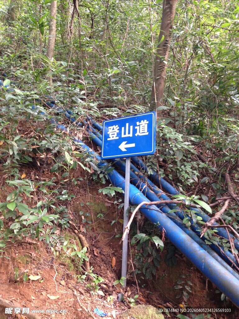 山林中蓝色警示标识牌