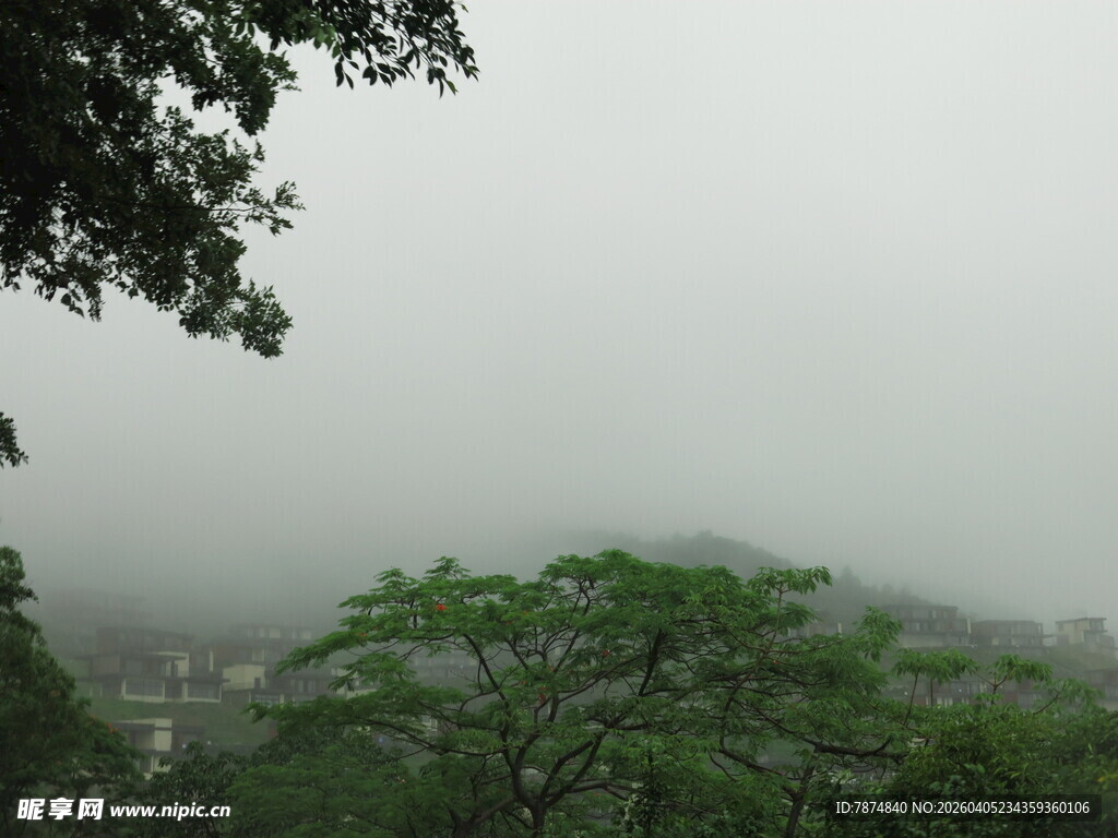 山间雾景 绿意朦胧