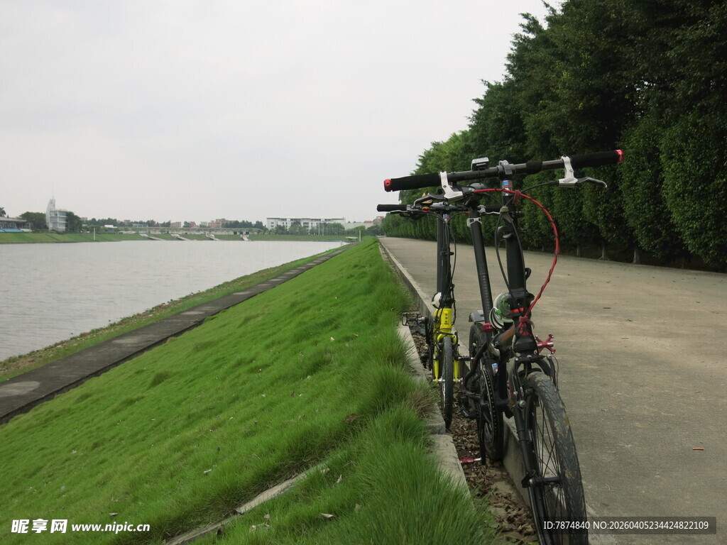 河畔自行车停靠在绿意旁