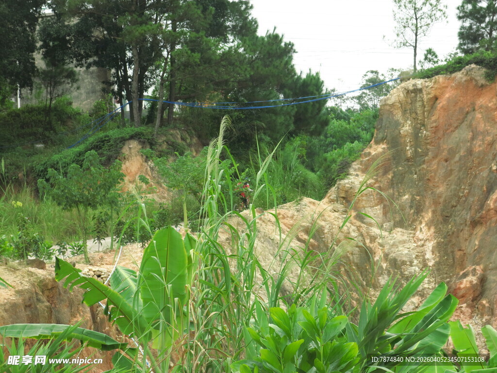 山坡绿植与裸露岩土景观