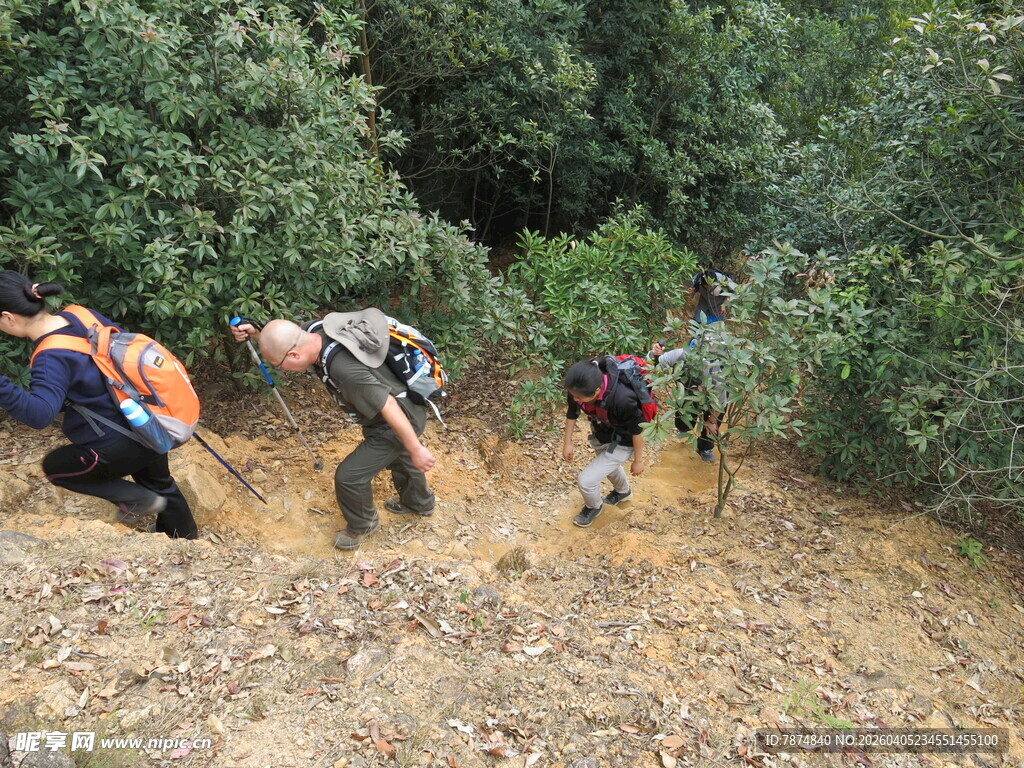 户外团队徒步穿越山林