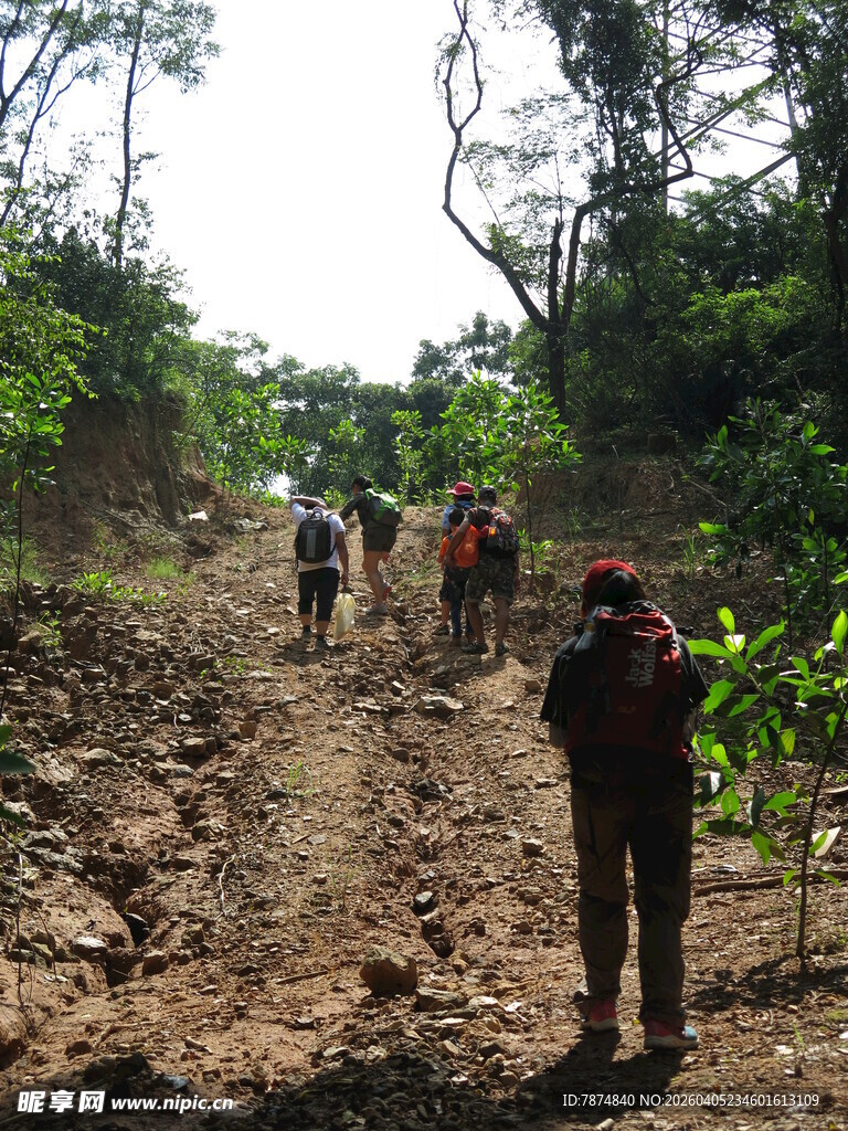 山林间的户外徒步队伍
