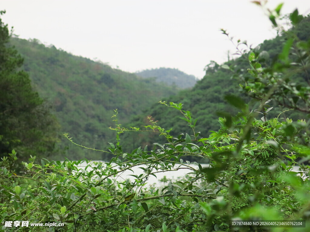 山间绿意盎然的自然风光