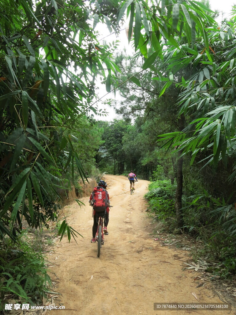 林间徒步者穿行于绿荫小道