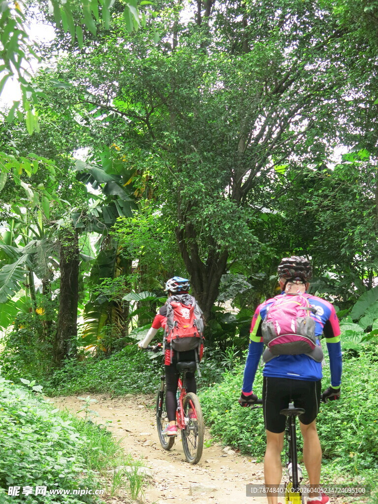 骑行者穿梭于绿意小径