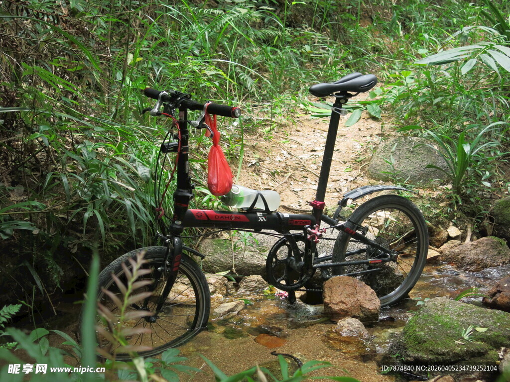 溪边折叠自行车置身绿意中