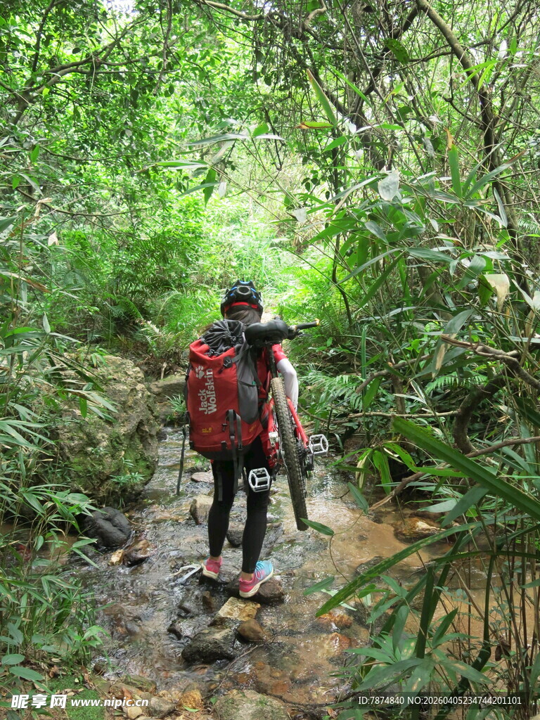 徒步者穿行于茂密林间小道