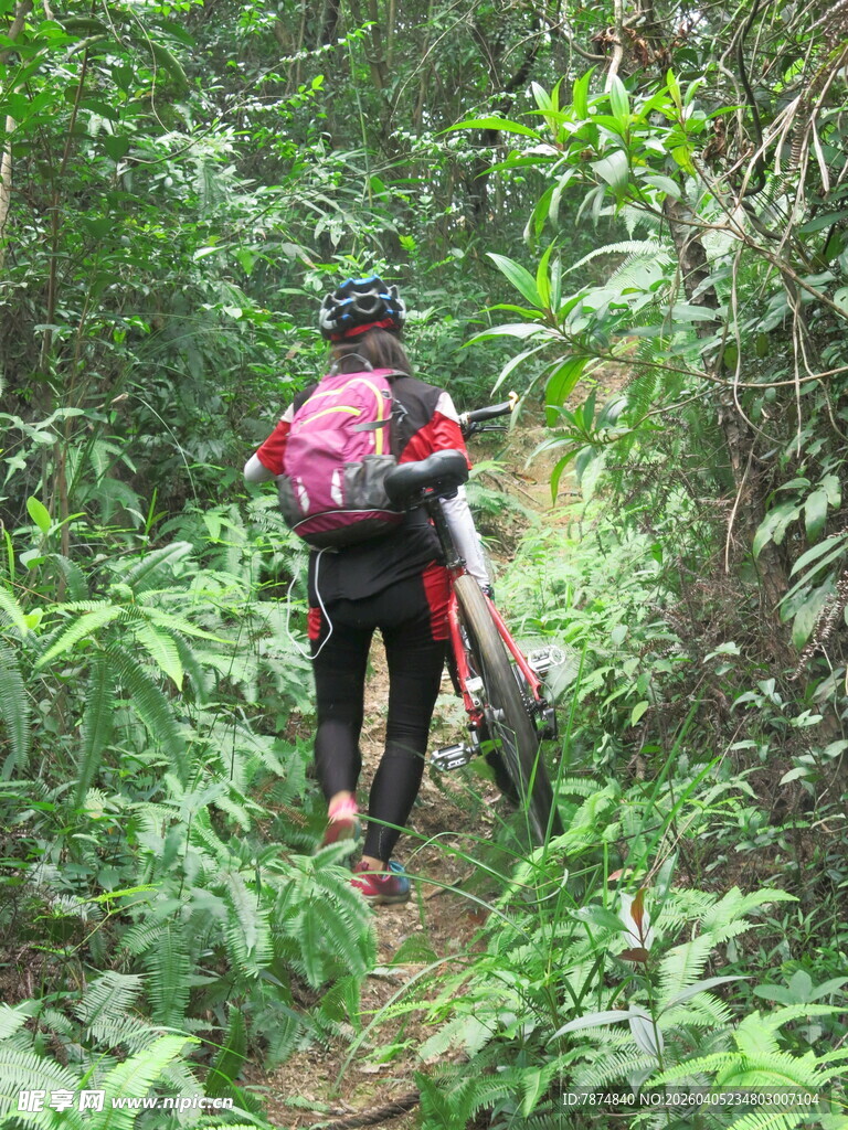 徒步者穿行于茂密山林间