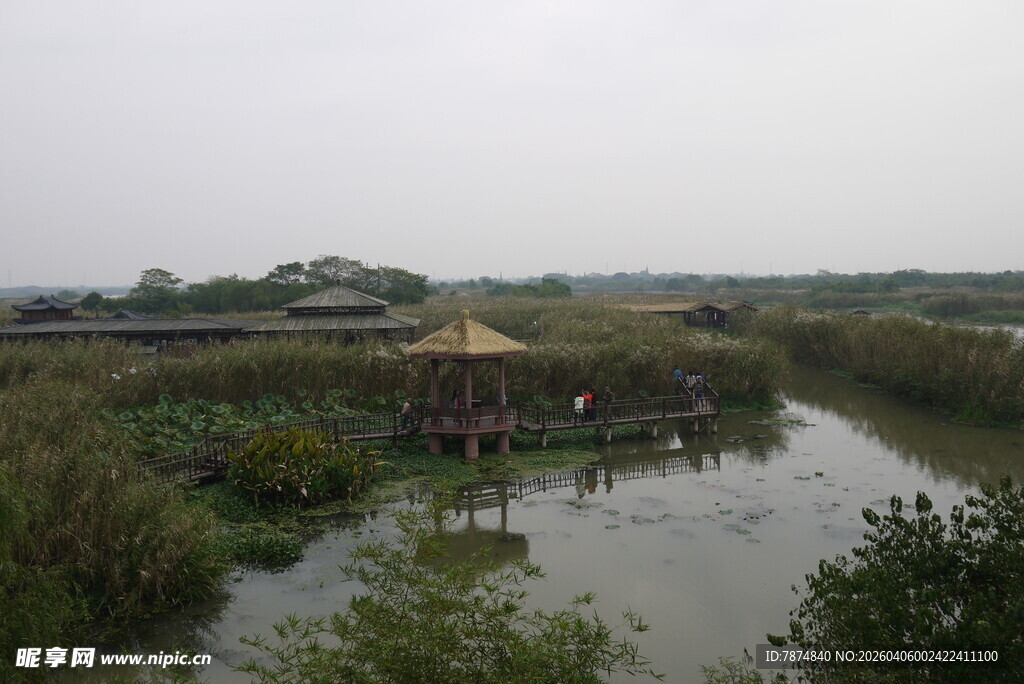 水乡风景中的亭台楼阁