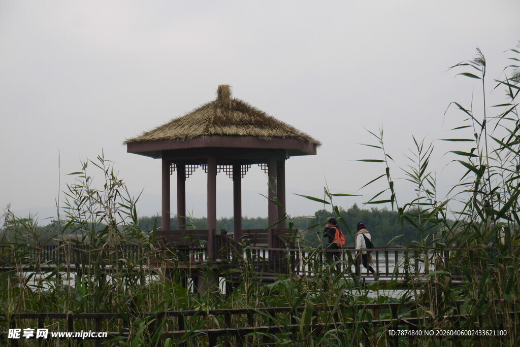 湖畔古亭 烟雨朦胧之景