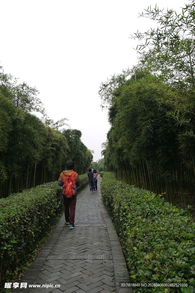 徒步者穿行于绿意小径