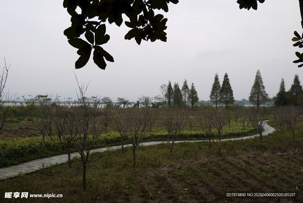 郊外田园风光景色