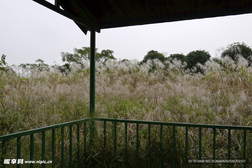 户外观景台处的花草景致