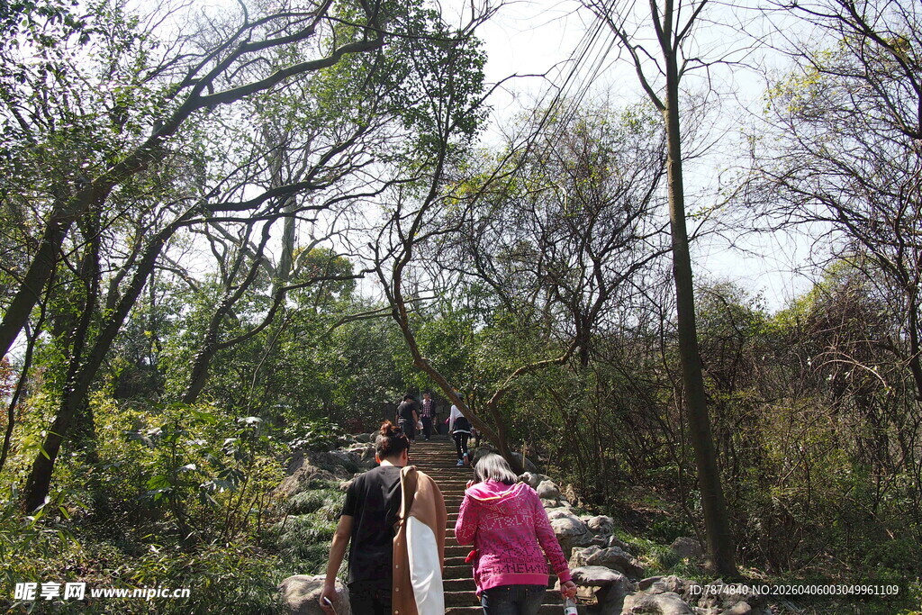 林间栈道上的徒步人群