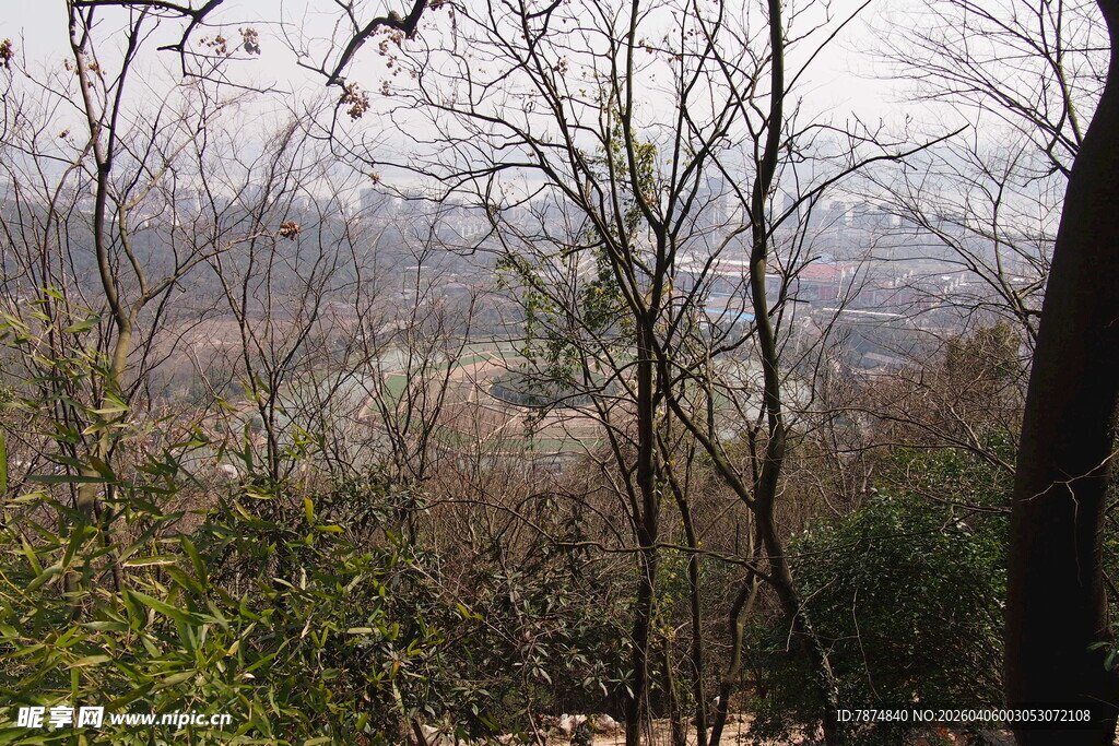 山林间萧瑟景象