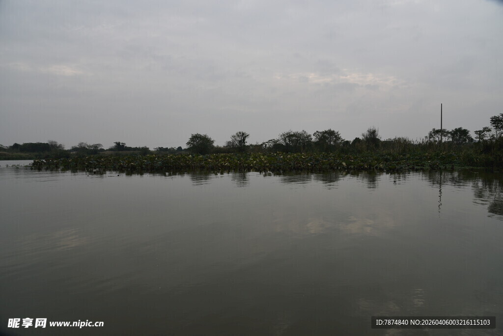 宁静湖面与岸边树木景观