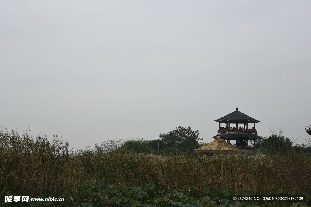 田野中的中式古建筑