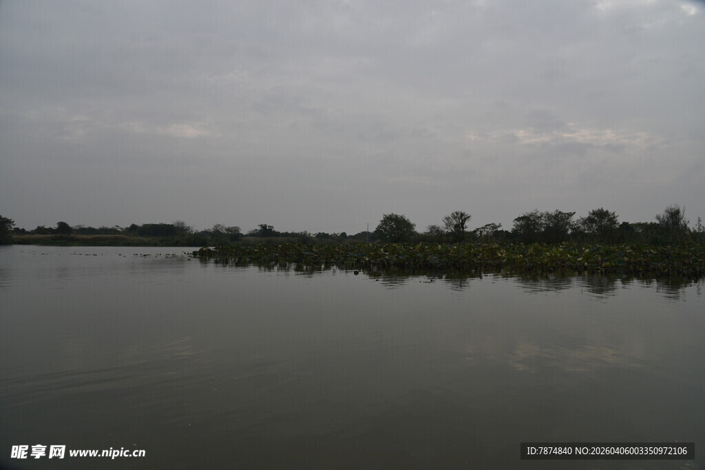 宁静湖面与远处树木倒影