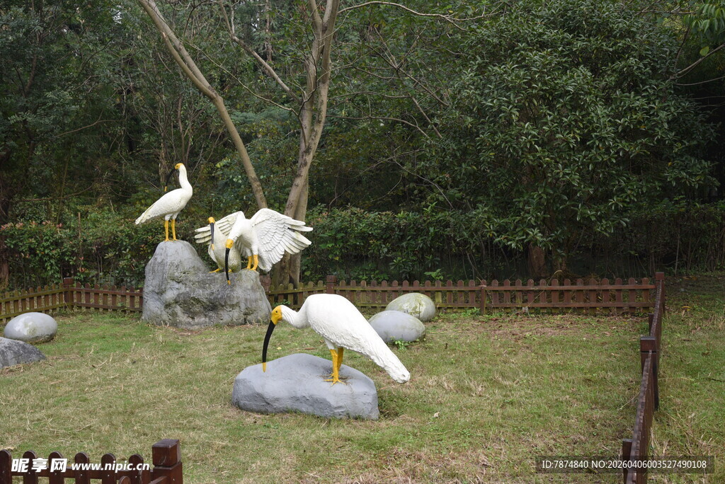 庭院中优雅的白鹭景观