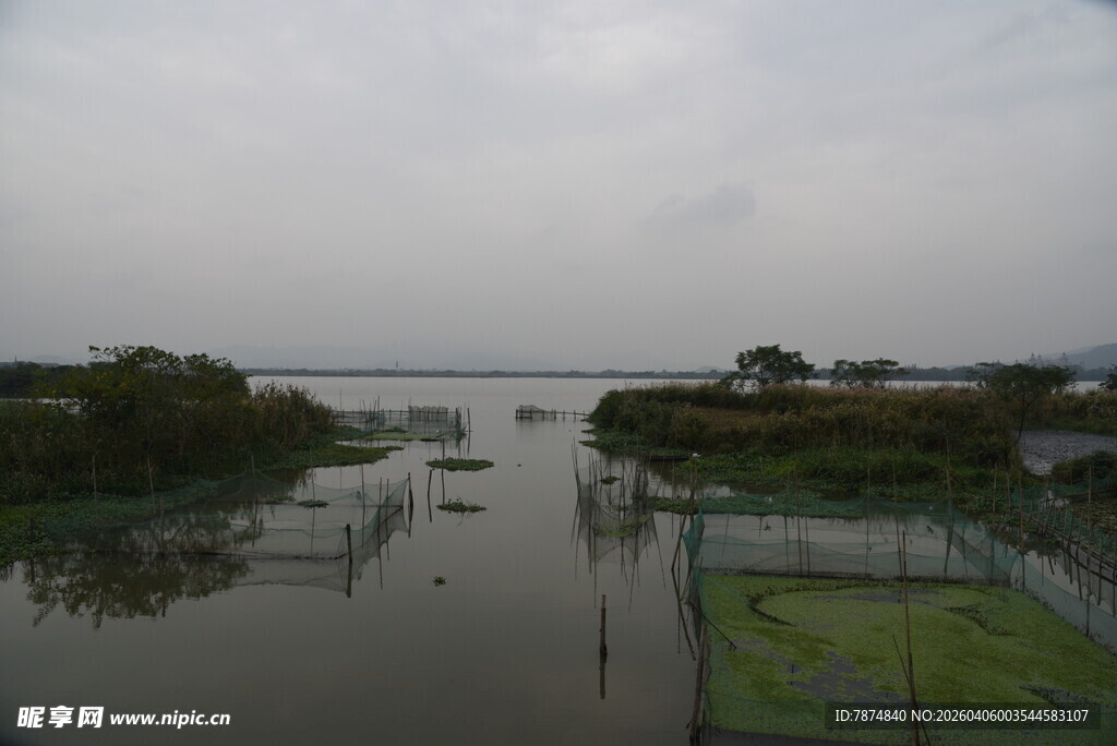 水乡景观 水域与绿植相映