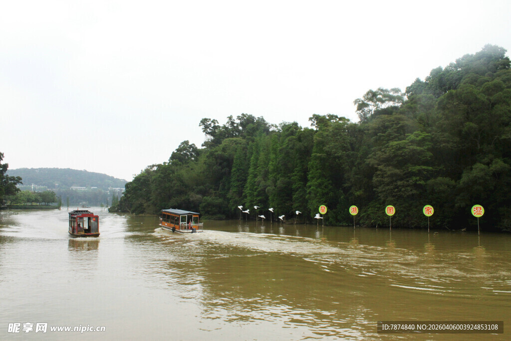 河流边的船只与茂密树林