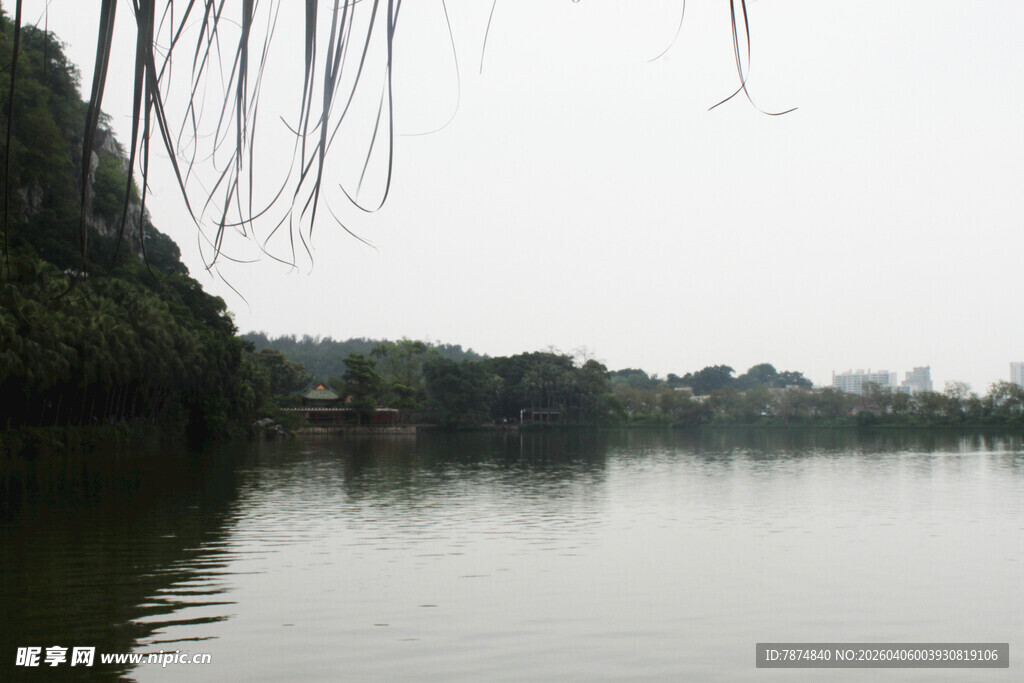 湖畔垂柳景 静谧山水间