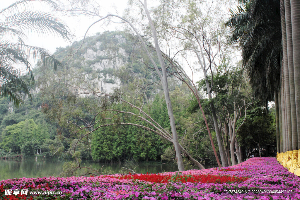 繁花绿树环绕的美丽景致