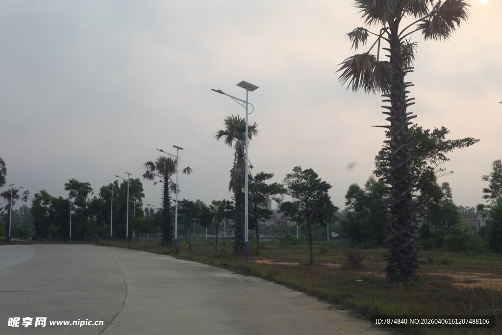 湛江乡间林荫路 静谧自然景