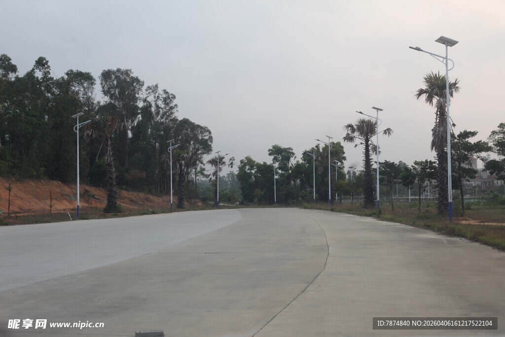 湛江宽阔道路旁林立的树木