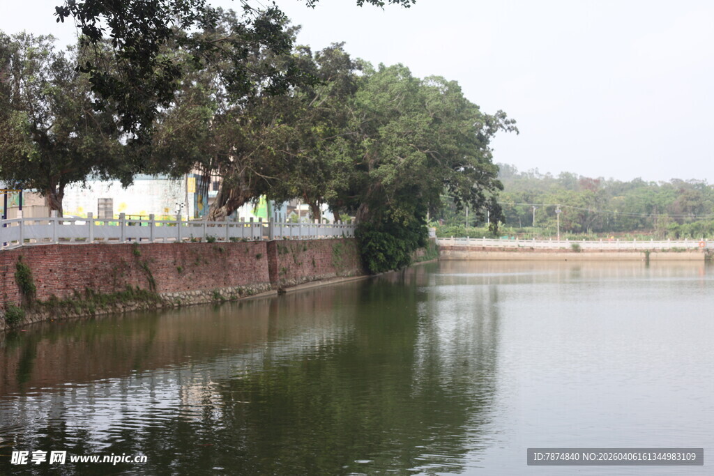 湛江河畔绿树环绕的宁静水域
