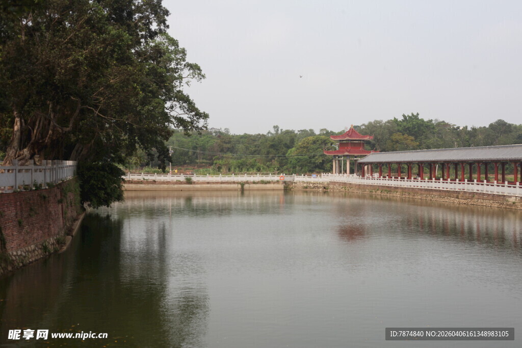 湛江宁静湖畔风光