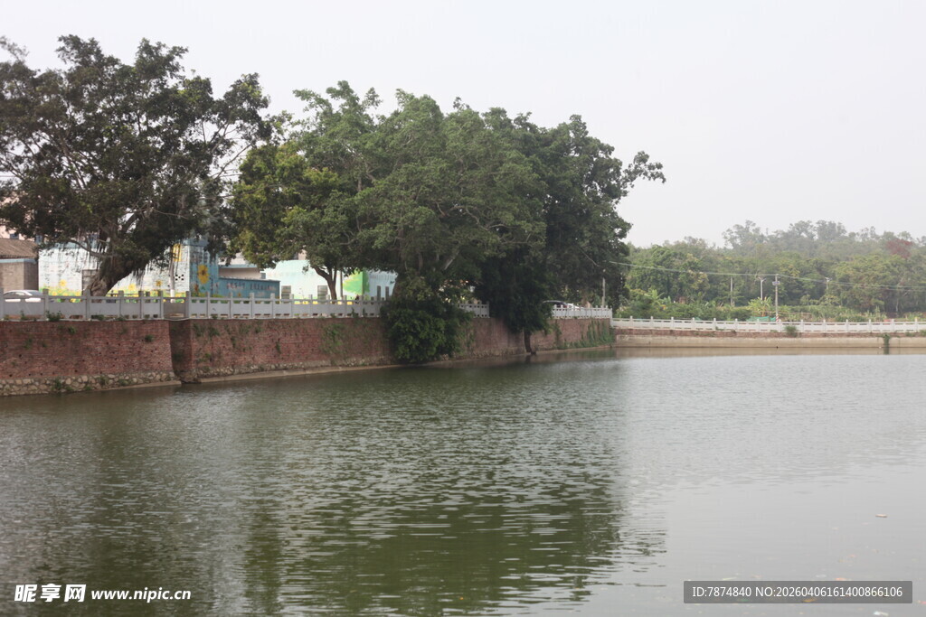 湛江宁静湖边景致