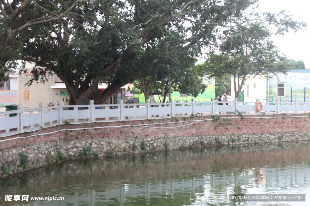 湛江湖畔古树下的宁静景致