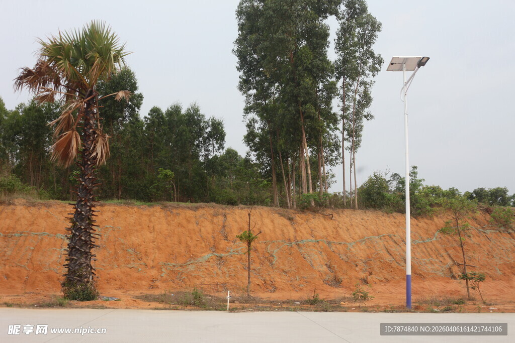 湛江户外土坡旁的绿树与路灯