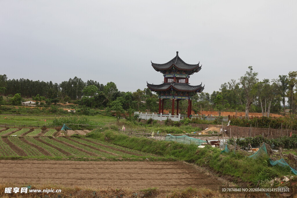 湛江田园中的中式古亭景观