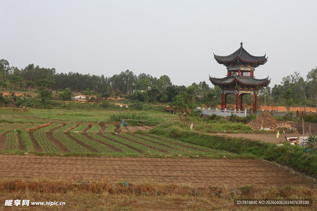 湛江田园古塔风景