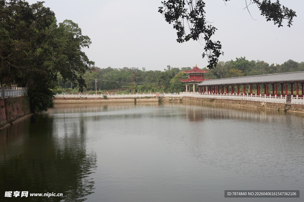 湛江宁静池塘景观